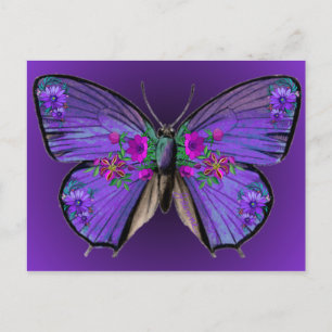 Persephone's Butterfly Postcard