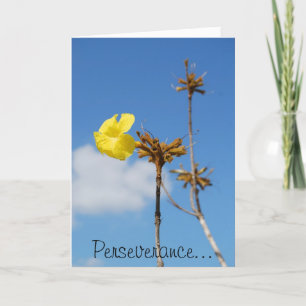 Perseverance Card