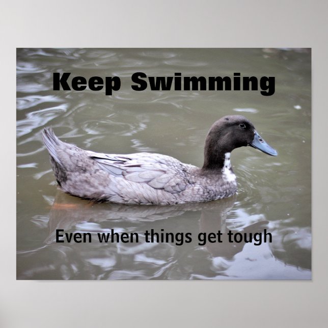 Perseverance Classroom Poster (Front)