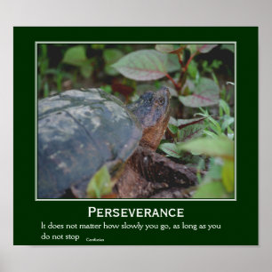 Perseverance Confucius Quote Turtle Inspirational Poster