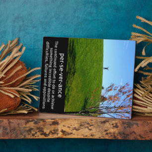 Perseverance Definition Picture Plaque
