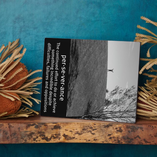 Perseverance Definition Plaque (Side)