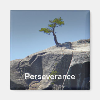 Perseverance ~ Magnet