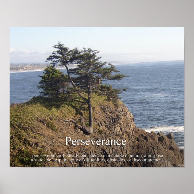 Perseverance Poster (Front)
