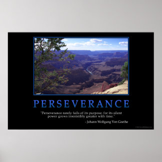 Perseverance Poster