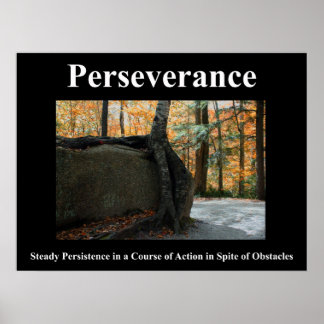 Perseverance Poster