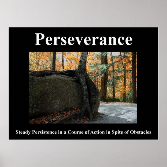 Perseverance Poster (Front)