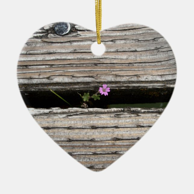 Perseverence Ceramic Tree Decoration (Front)