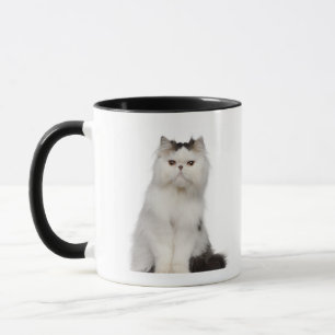 Persian (10 months old) sitting mug