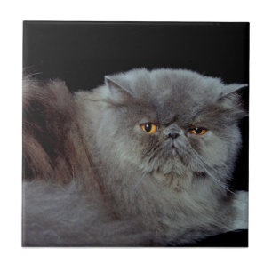 Persian Blue Ceramic Tile