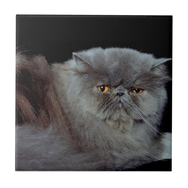 Persian Blue Ceramic Tile (Front)