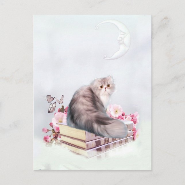 Persian cat and books postcard (Front)
