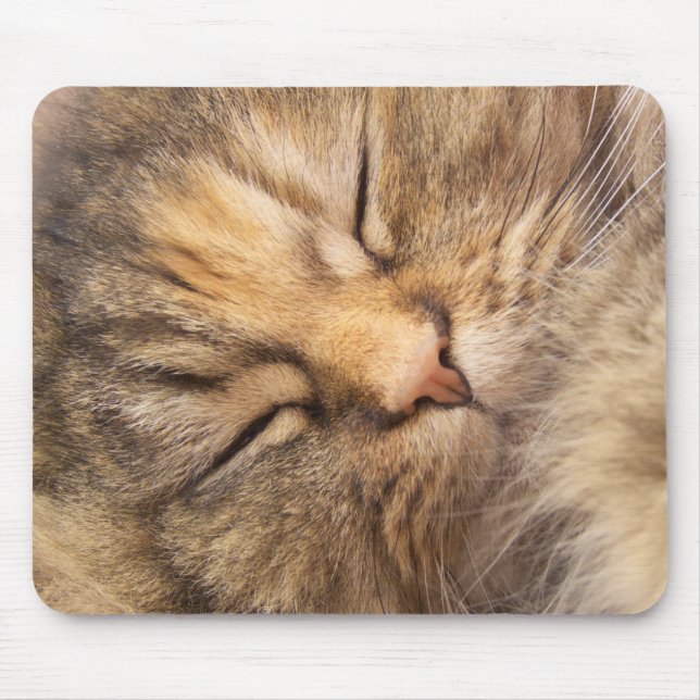 Persian Cat Asleep Mouse Pad (Front)