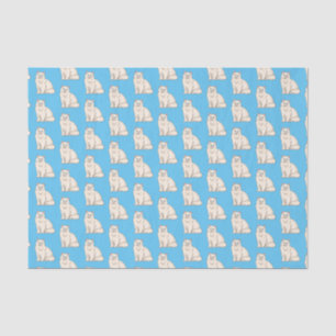 Persian cat cartoon illustration  tissue paper