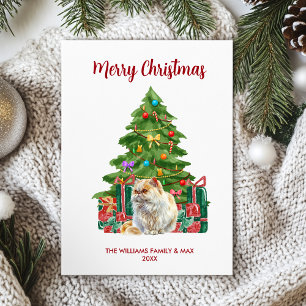 Persian Cat Family Christmas Holiday Card