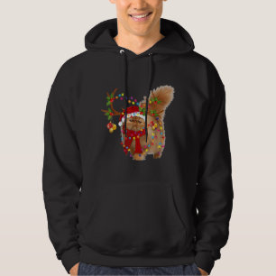 Persian Cat Gorgeous Reindeer Christmas Tree Light Hoodie