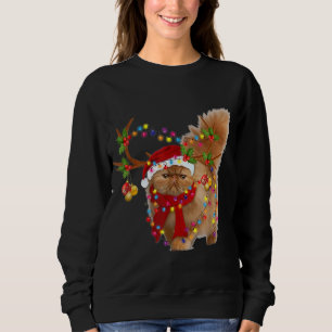 Persian Cat Gorgeous Reindeer Christmas Tree Light Sweatshirt