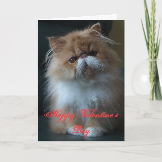 Persian Cat Happy Valentine's Day Holiday Card (Front)