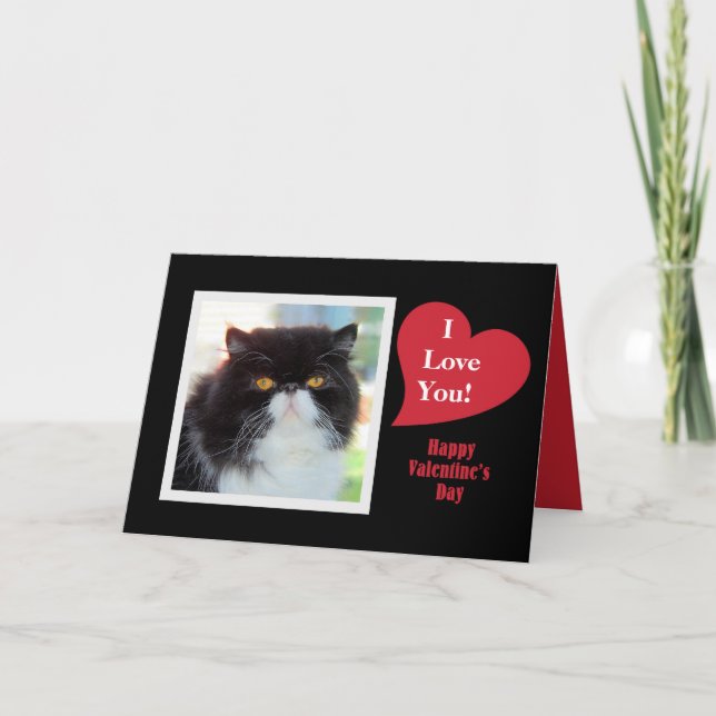 Persian Cat I Love You Valentine Holiday Card (Front)