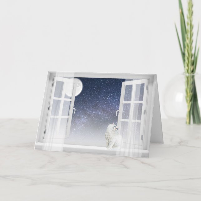 Persian Cat In Window Holiday Card (Front)