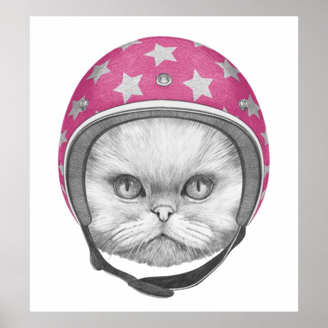 Persian Cat Motorcycle Rider Poster (Front)