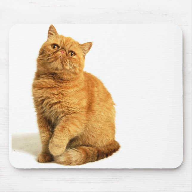 Persian cat mouse pad (Front)