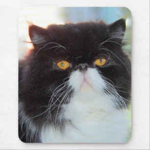 Persian Cat Mousepad