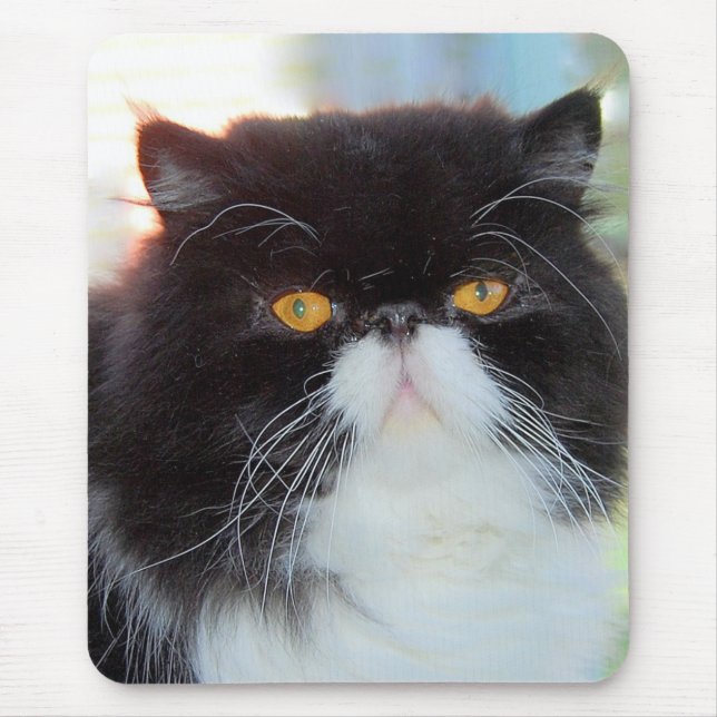 Persian Cat Mousepad (Front)