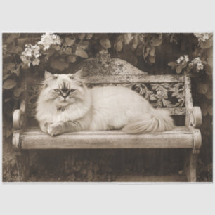 Persian Cat on a Garden Bench Decoupage Tissue Paper