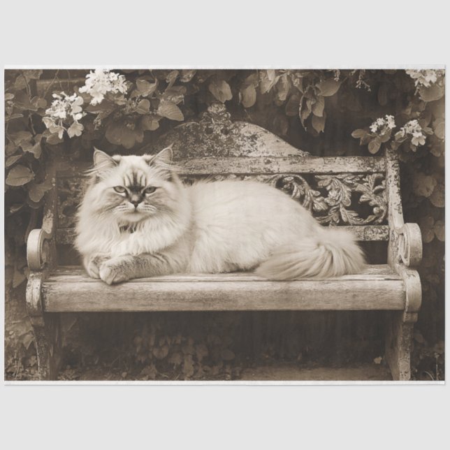 Persian Cat on a Garden Bench Decoupage Tissue Paper (Front)