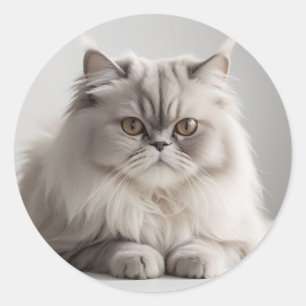 Persian Cat Portrait Modern Minimalist Classic Round Sticker