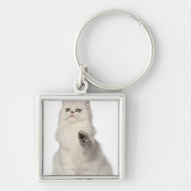 Persian cat sitting key ring (Front)