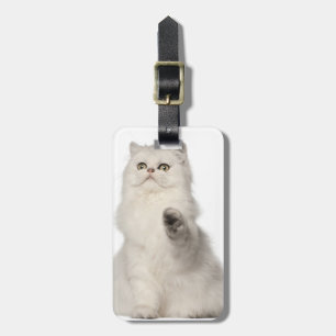 Persian cat sitting luggage tag