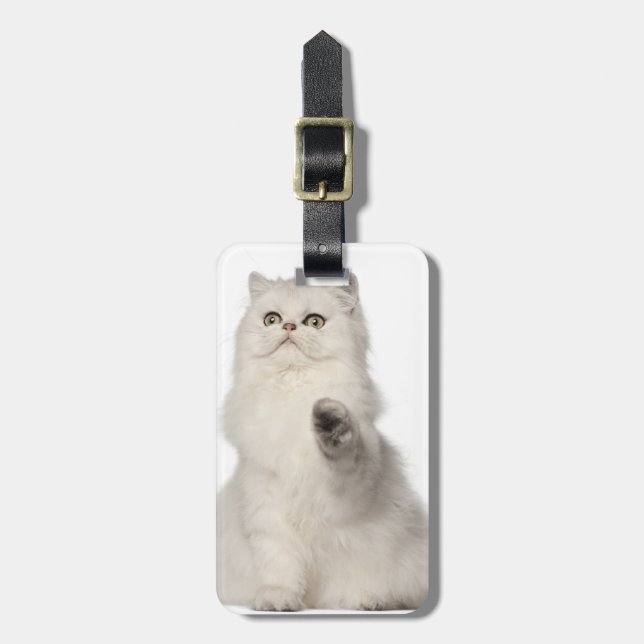 Persian cat sitting luggage tag (Front Vertical)
