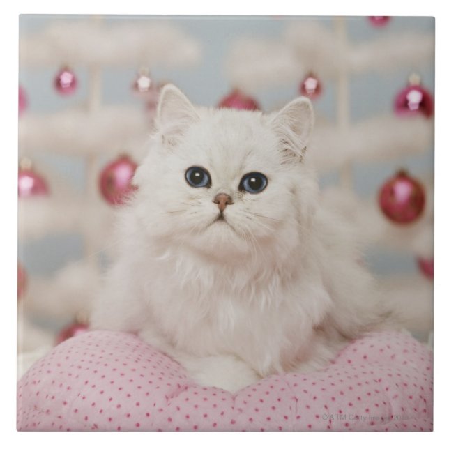 Persian cat sitting on pink pillow ceramic tile (Front)