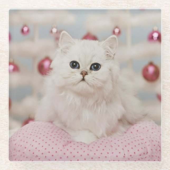 Persian cat sitting on pink pillow glass coaster (Front)