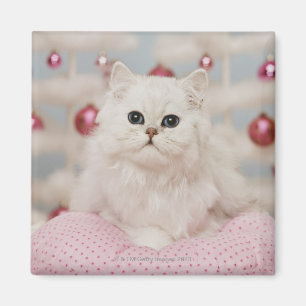 Persian cat sitting on pink pillow magnet