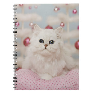 Persian cat sitting on pink pillow notebook