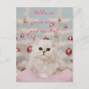Persian cat sitting on pink pillow postcard