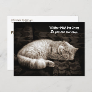Persian Cat Sleeping in Sepia Tones Pet Sitter's P Postcard