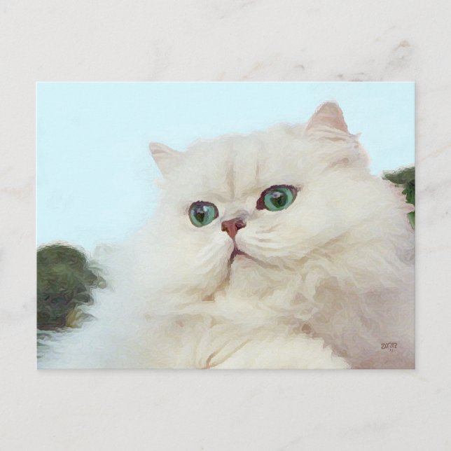 Persian Cat with Jade Eyes Postcard (Front)