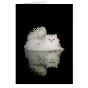 Persian Cat with Jade Green Eyes