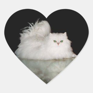 Persian Cat with Jade Green Eyes Heart Sticker