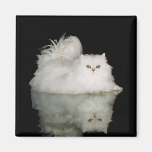 Persian Cat with Jade Green Eyes Magnet