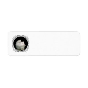Persian Cat with Jade Green Eyes Return Address Label