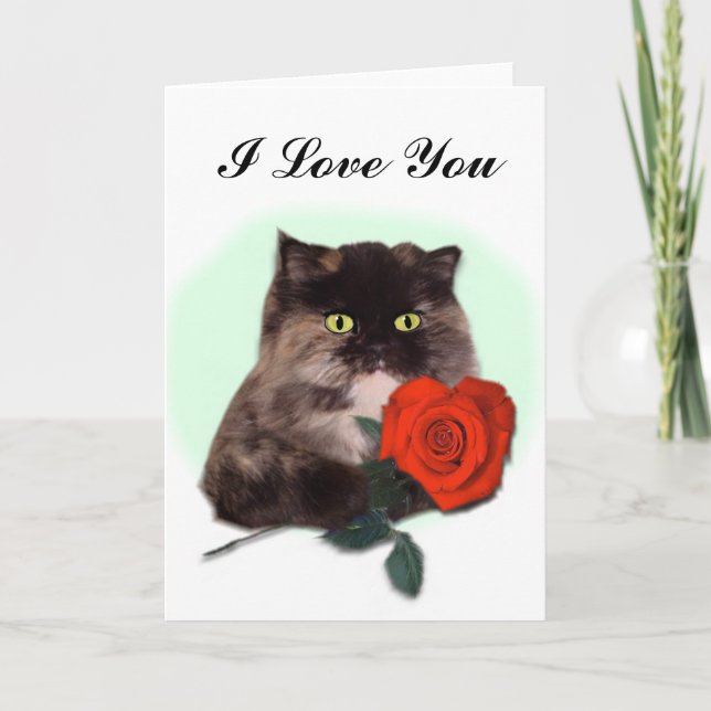 Persian Cat with Red Rose Card (Front)