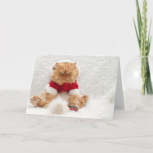 Persian cat with Tv remote control Holiday Card