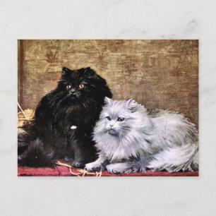 Persian Cats Painting Postcard