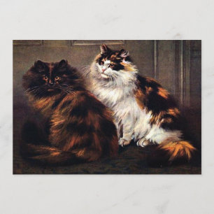 Persian Cats Tortoiseshell #Caturday Invitation
