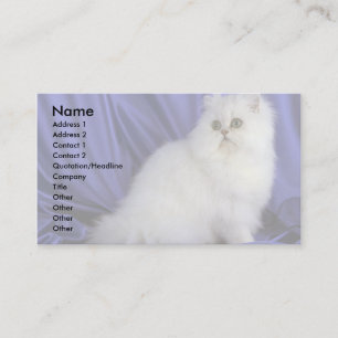 Persian, chinchilla business card